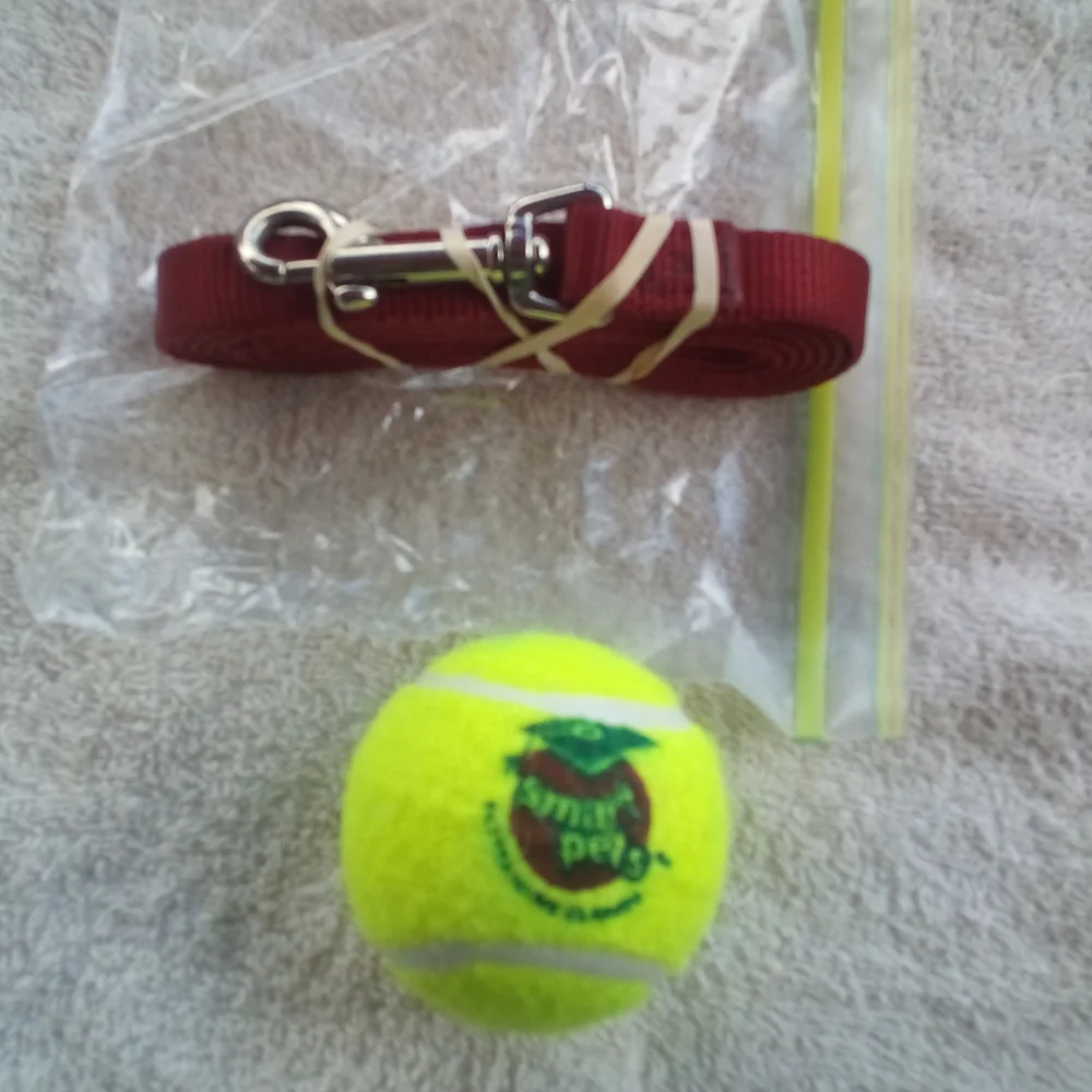 Leash and Ball Emergency Kit